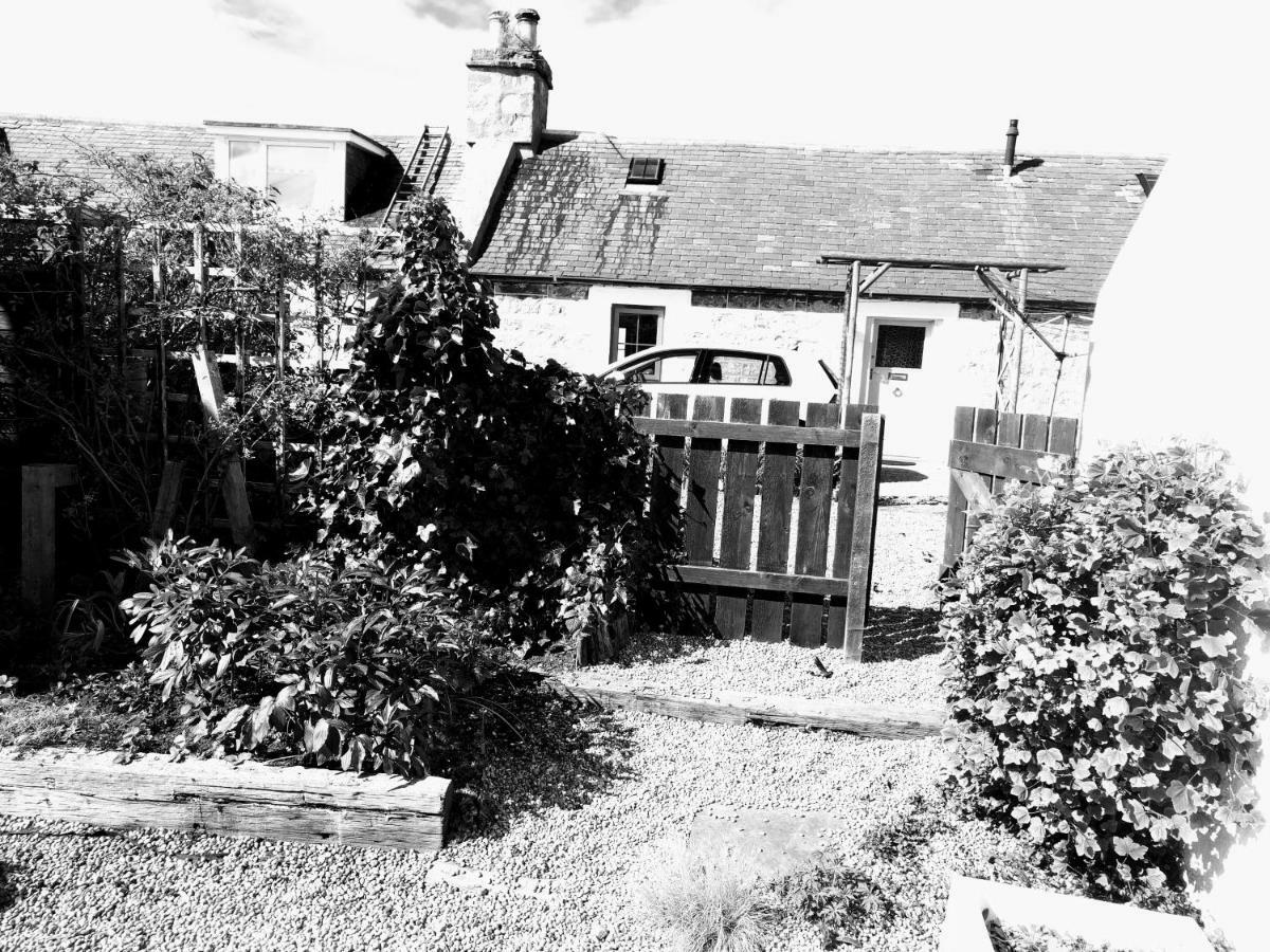 6 Seatown, Lossiemouth Εξωτερικό φωτογραφία
